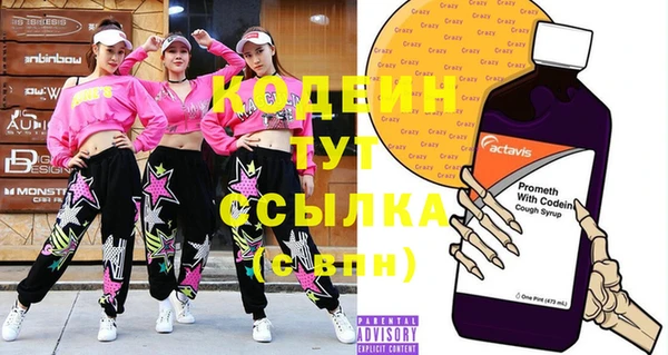 ГАЛЛЮЦИНОГЕННЫЕ ГРИБЫ Арсеньев