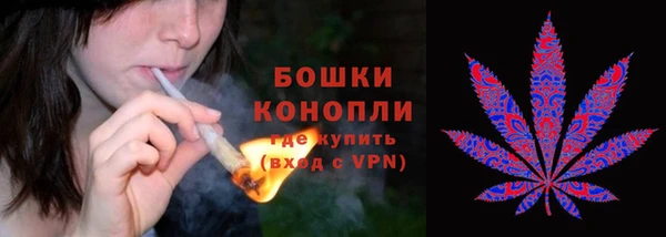 амф Аркадак
