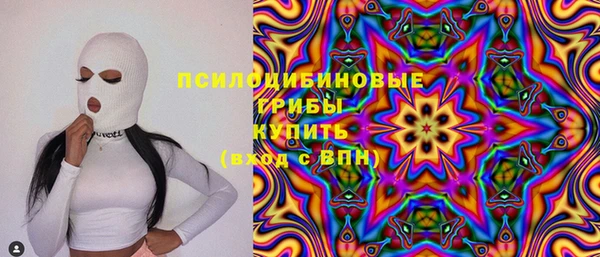 ГАЛЛЮЦИНОГЕННЫЕ ГРИБЫ Арсеньев